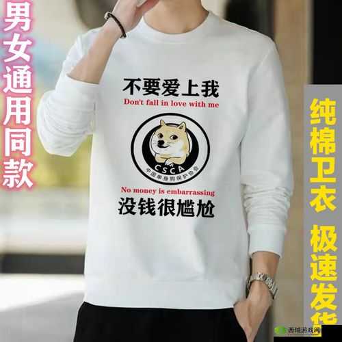 不要喜欢上我