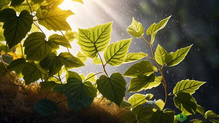 人马畜禽 company-limited：探索自然与科技的奇妙融合
