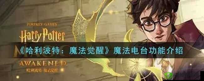 哈利波特魔法觉醒之魔法电台：使用指南与功能详解