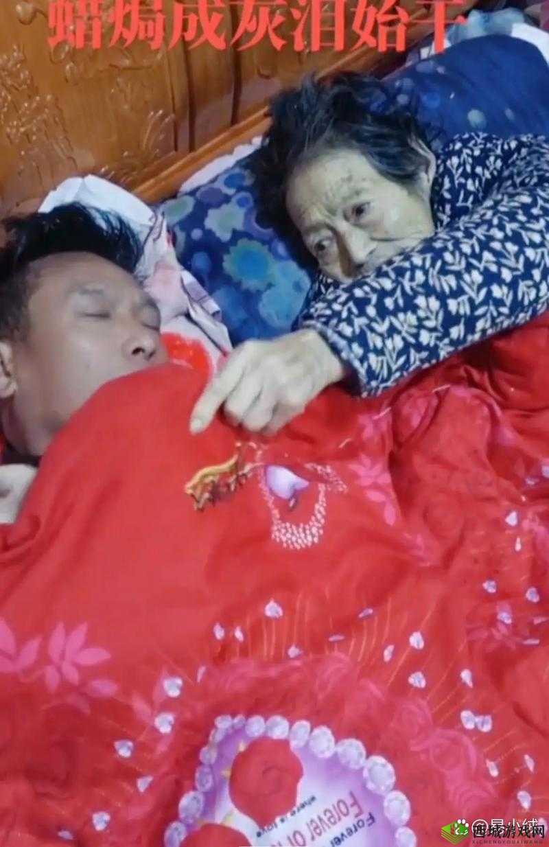 男的和女的打牌不盖被子：牌局背后的秘密