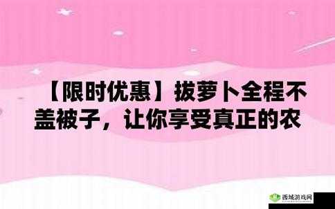 意思打牌盖被子（黄）：别样趣味玩法