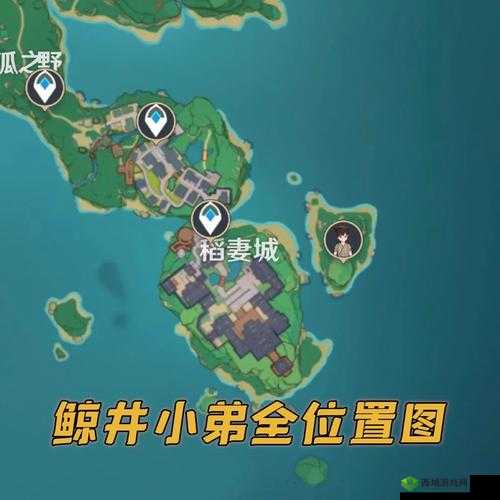 原神探寻鲸井小弟位置全览攻略大揭秘