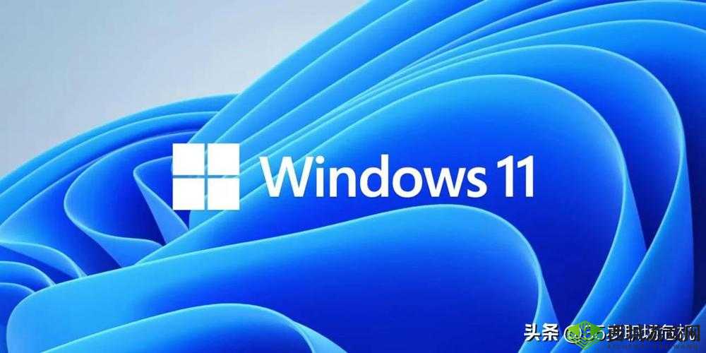在线 windows 永久免费版：无需付费的操作系统