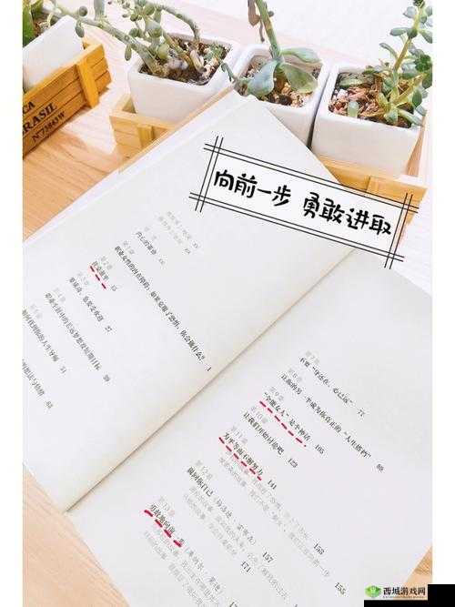 欧亚尺码专线夫妻子：家庭与事业的完美平衡