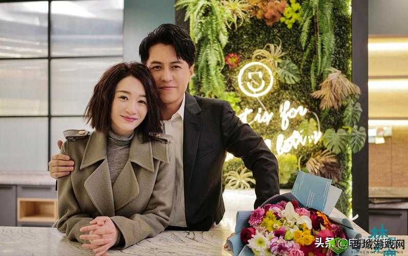 妻子的秘密免费版电视剧：情感纠葛的背后