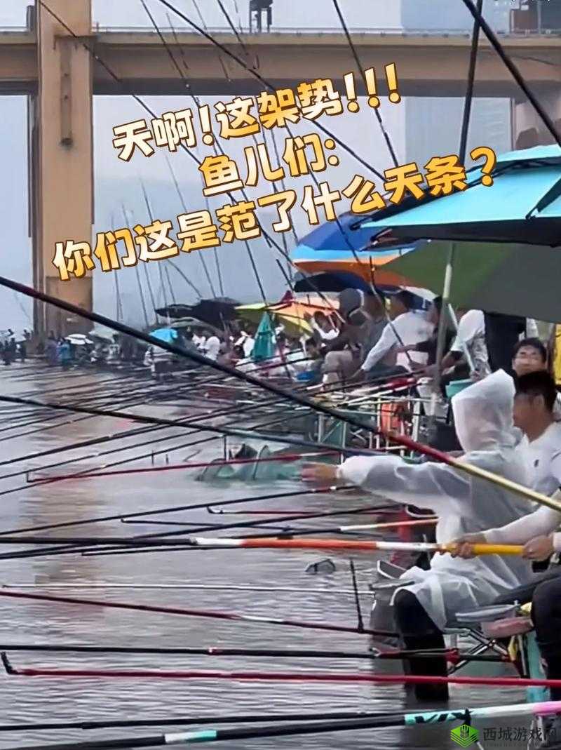 粗暴交 videos 乱叫：震撼场景呈现