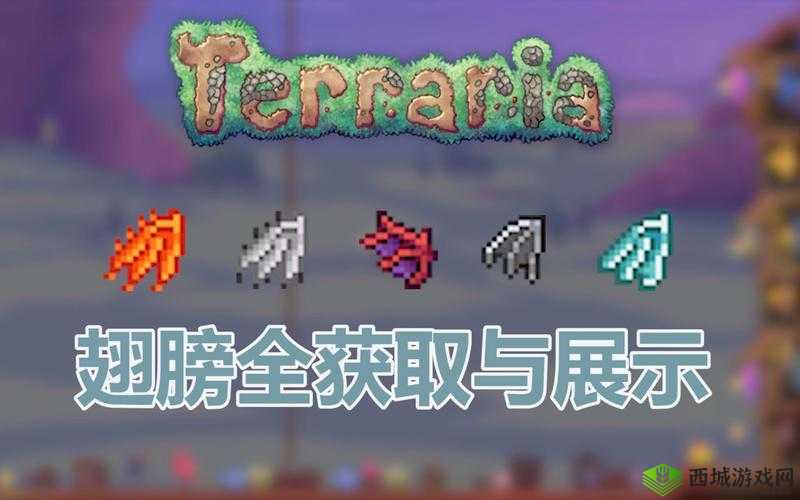 泰拉瑞亚：获取蒸汽朋克翅膀的神秘方法