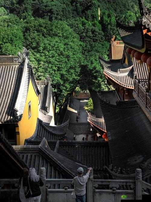 命运之路：职业起源背景解析与全貌概览
