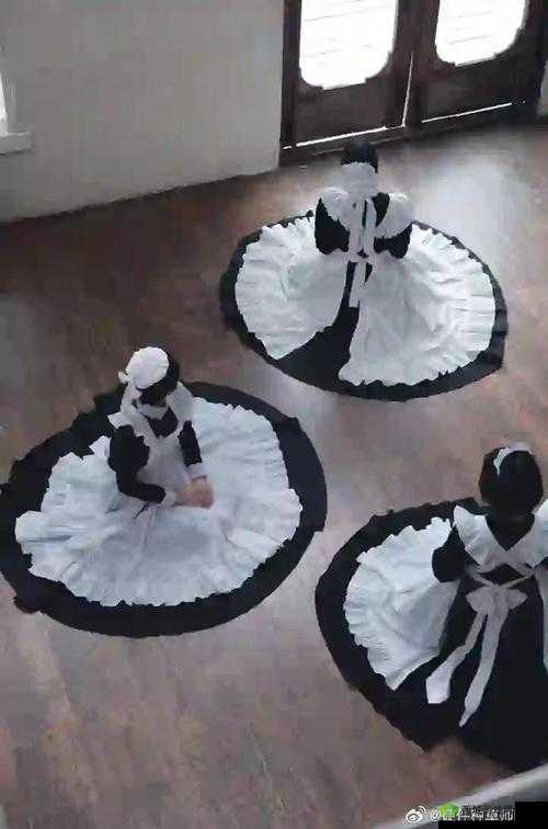 纯情女仆坏少爷：女仆品质详细介绍