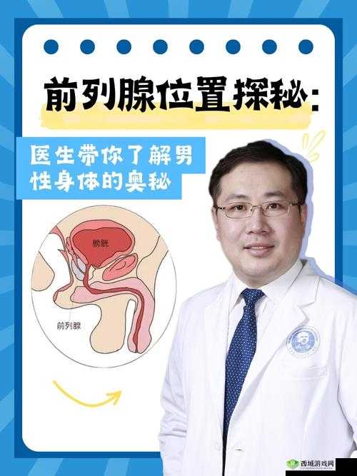 十八裸男晨勃露鸡毛软件：探索男性生理奥秘的神奇工具
