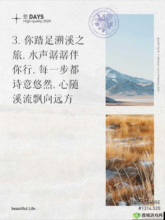 人间词话，探索纤尘不染的诗意世界，领略古典文学之美