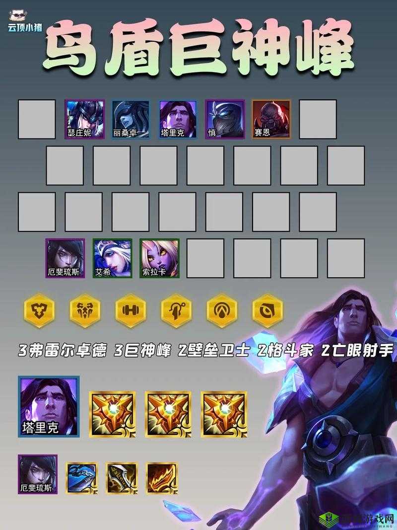 云顶之弈策略揭秘，黑暗鸟盾贾克斯，探索无敌神盾的强势崛起之路