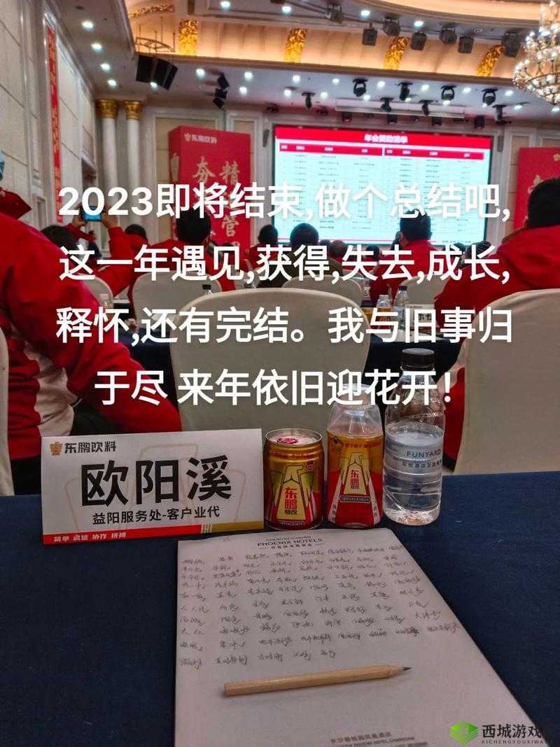 曹留社区 2024 年一二三四五六三：展望未来，社区发展新篇章