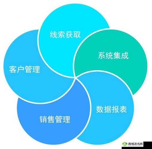 国内永久免费 SaaS CRM：开启高效客户管理新时代