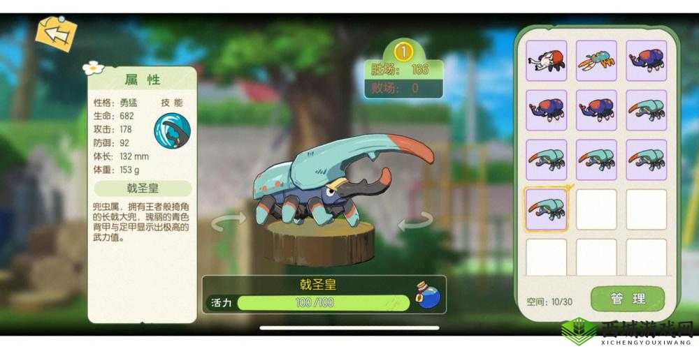 小森生活甲虫任务完成方法:捕捉与斗虫技巧分享