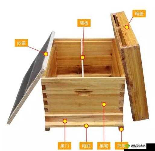 魔法小蜜蜂蜂箱制作指南:解锁独特创意与手工艺制作技巧分享