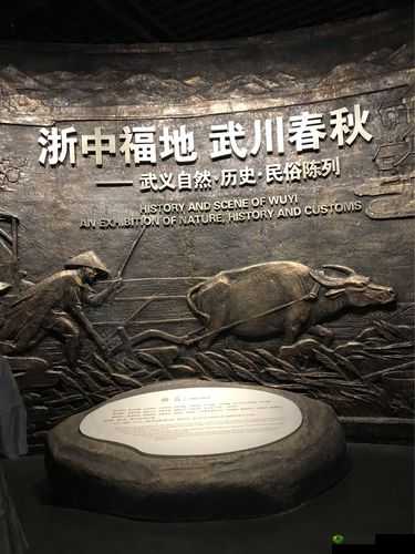 武义州行点获取途径:探索神秘的行奥秘