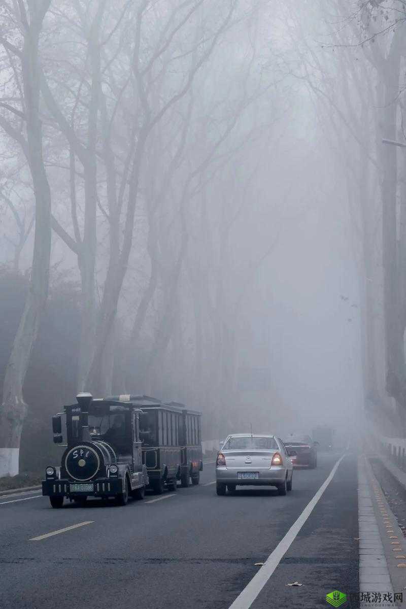 迷雾侦探解码神器:迷雾深处藏匿的译码器揭秘之旅