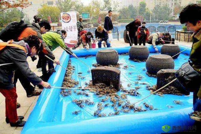 蟹王争霸赛之关键挑战：探索螃蟹更替策略的秘密