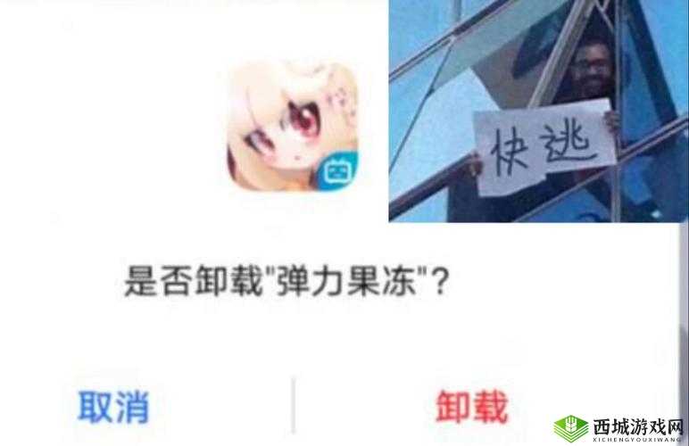 弹力果冻 4-4 通关技巧大揭秘 助你轻松过关斩将