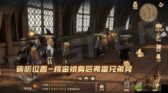 哈利波特魔法觉醒:怪诞之夜第天任务全面解析与攻略分享