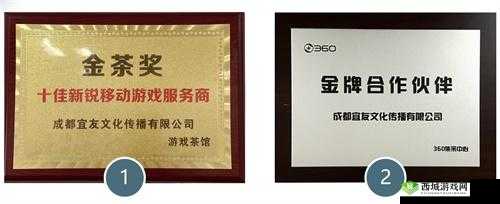 成都宜友荣膺360金牌合作伙伴奖项:深度解读公司实力