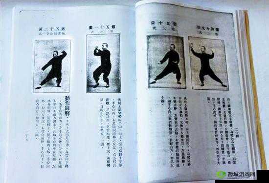 江湖之秘:武当山太极拳任务与迷阵全攻略