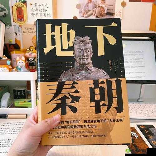 《揭秘大掌柜之秦始皇陵答案分享之旅》