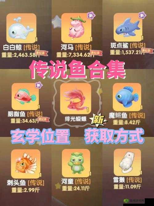 《摩尔庄园手游：中级鱼饵获取攻略》