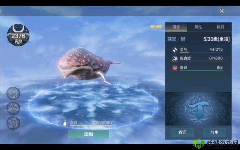 妄想山海:岳云鲲进化与乘骑秘籍大放送