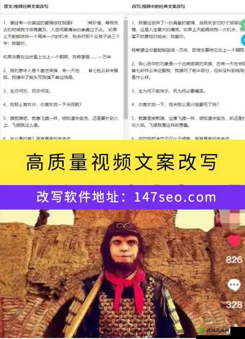 seo 短视频网页入口引流：提升流量的关键策略