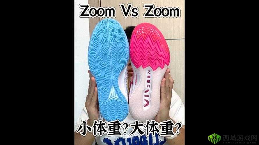 Zoom与牛性胶ZOOm区别:深度剖析与对比