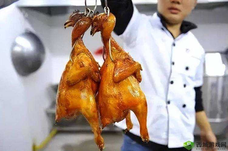 美国人与畜禽 Croproation365:畜禽合作的探索