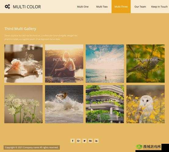 Dw 个人网站制作成品：精美呈现与创新设计