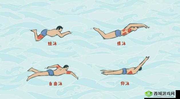 锦鲤吸水的正确姿势：提升技巧与要点