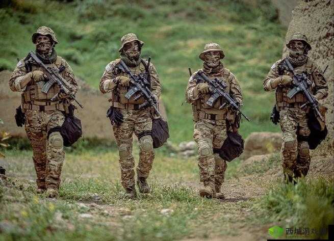 喜欢老外的战斗力:到底有多强