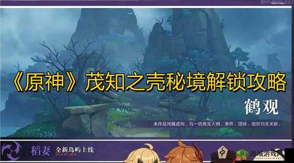 原神茂知之壳秘境攻略大全：解锁秘境之门，探索未知领域