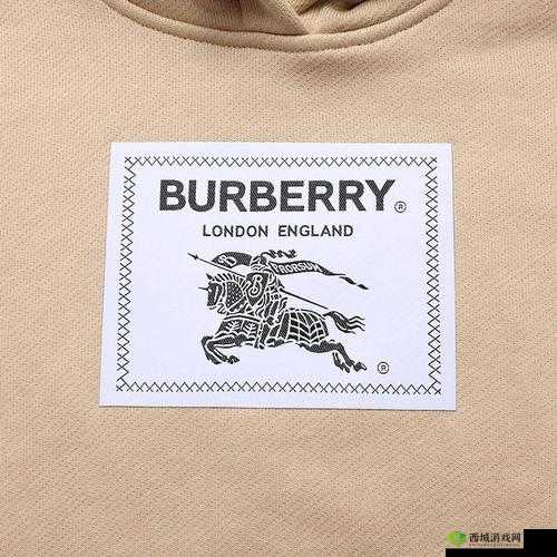 BURBERRY 中文免费版,时尚必备