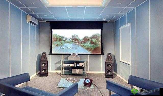 成都私人家庭影院推荐理由:绝佳视听享受