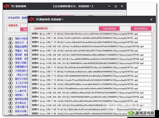 91破解版安装:需谨慎使用避免侵权