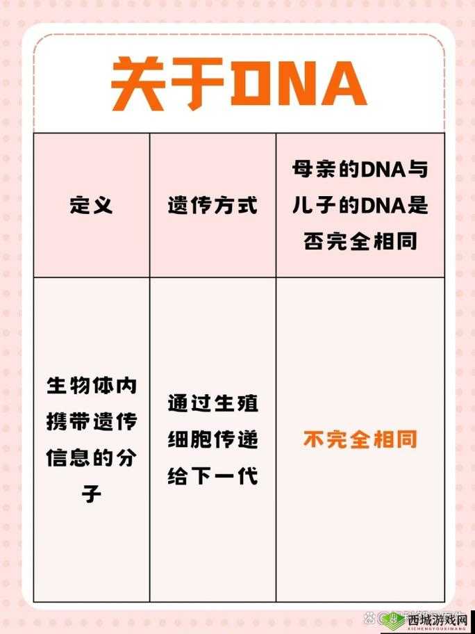 母亲和儿子 dna 一样吗:二者关系解析