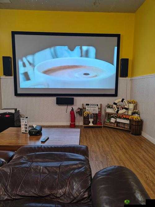 成都家庭私人家庭影院：畅享极致观影体验