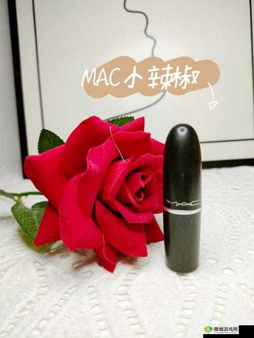 MAC 小辣椒 877 正品推荐：品质之选