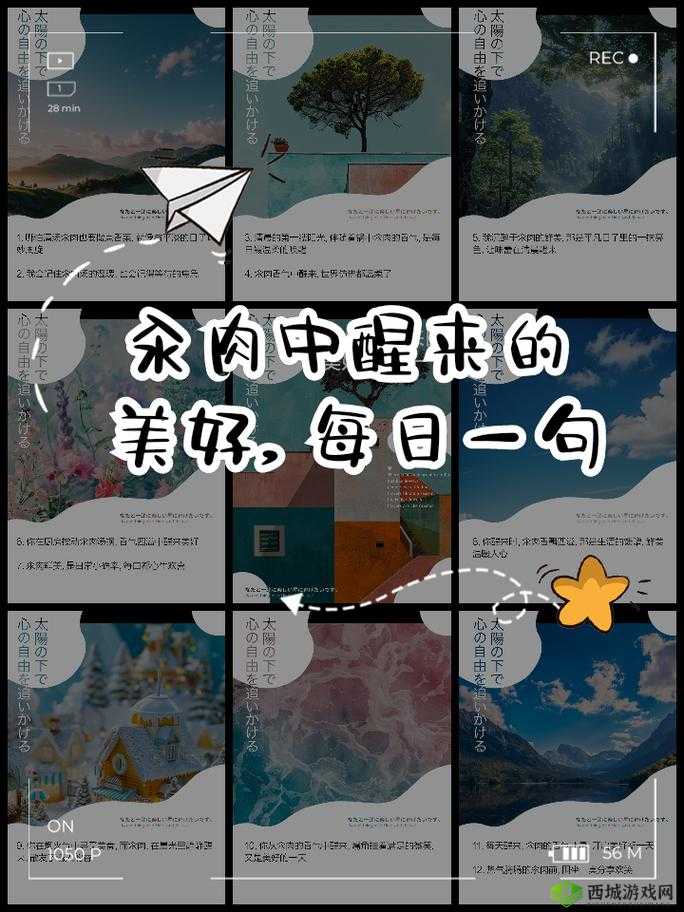 每天在汆肉中醒来攻略:新手必看指南