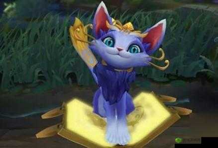 《金铲铲之战S6：猫咪搭配攻略，助力棋子选择指南》