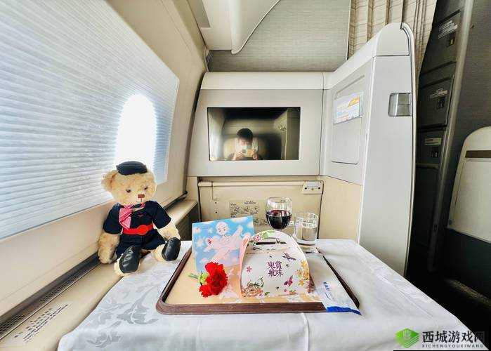 头等舱客服的特殊待遇 2:畅享尊荣之旅