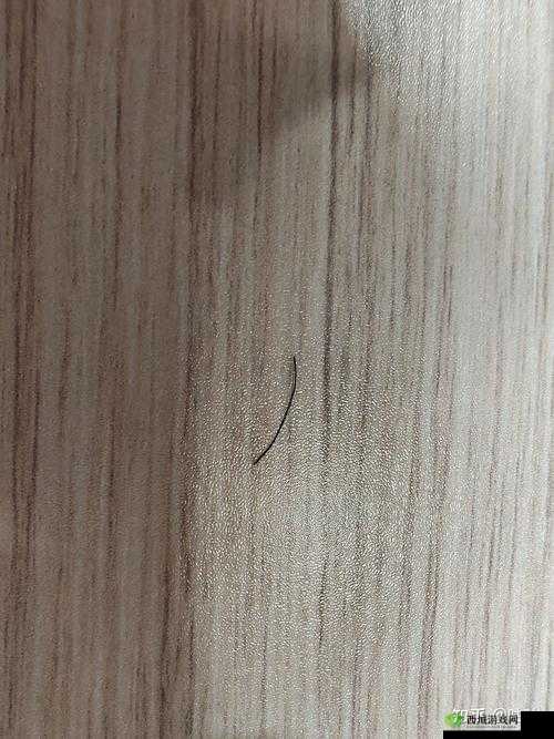 有一根又黑又硬的蘑菇头：探秘其神秘世界