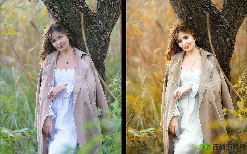 探索PS二级调色大片的效果:技巧与魅力