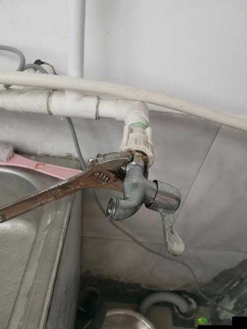 工本口子库水龙头：优质品质保障用水体验