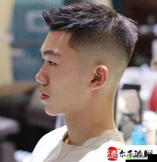 又大又黑又长蘑菇头的独特魅力